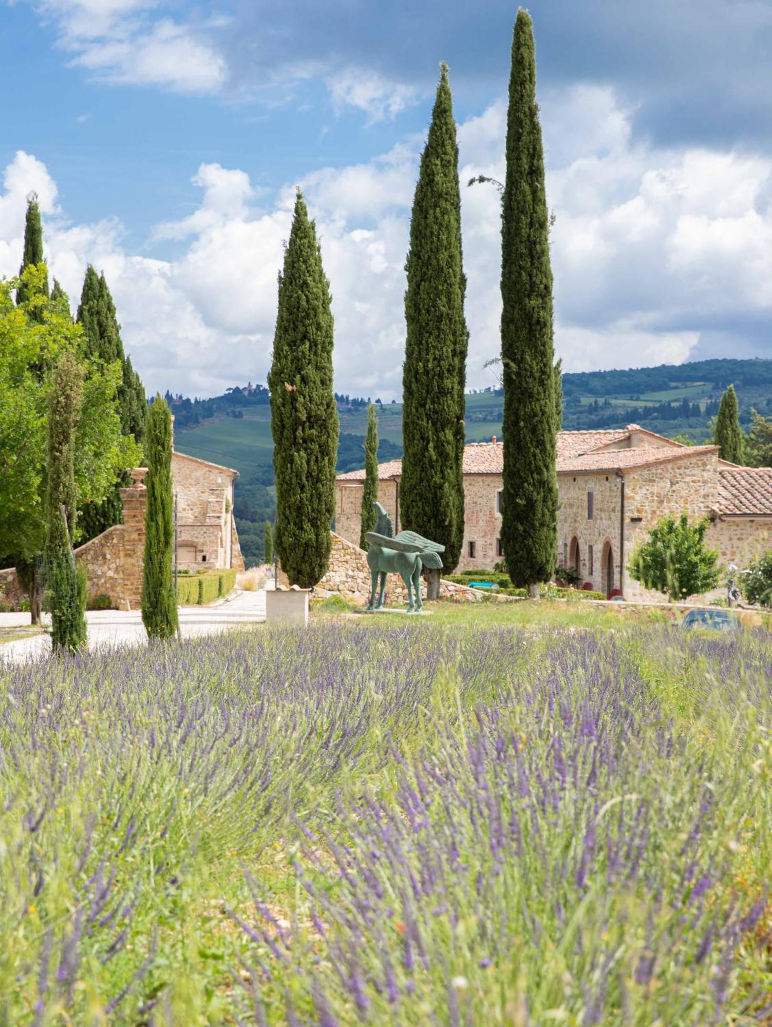 Podere 1384 Castellina in Chianti Ngoại thất bức ảnh